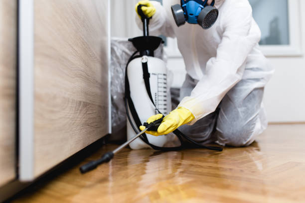 Best Emergency Pest Control  in City View, SC