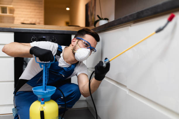 Best Termite Control Services  in City View, SC