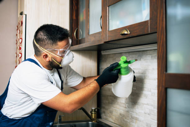 Best Residential Pest Control  in City View, SC