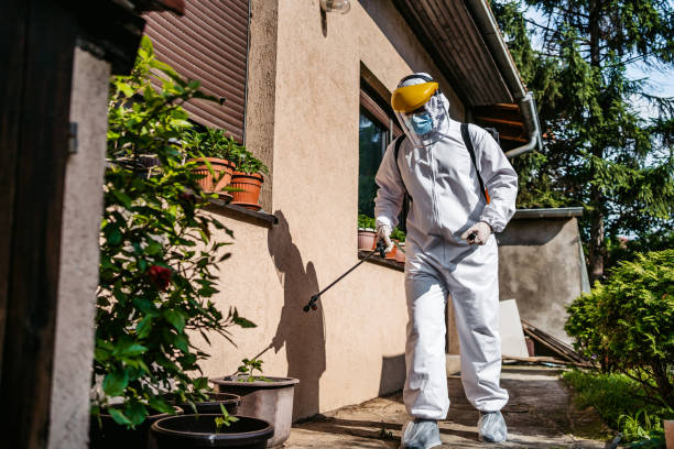 Best Flea Control Services  in City View, SC