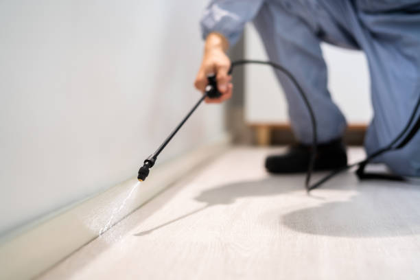 Professional Pest Control in City View, SC