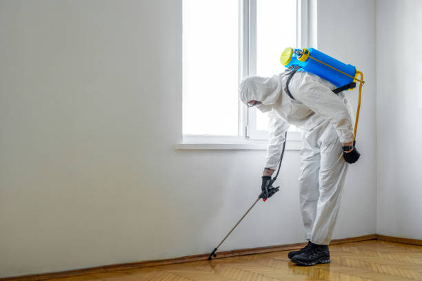Best Residential Pest Control  in City View, SC