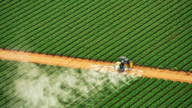 Professional Pest Control in City View, SC